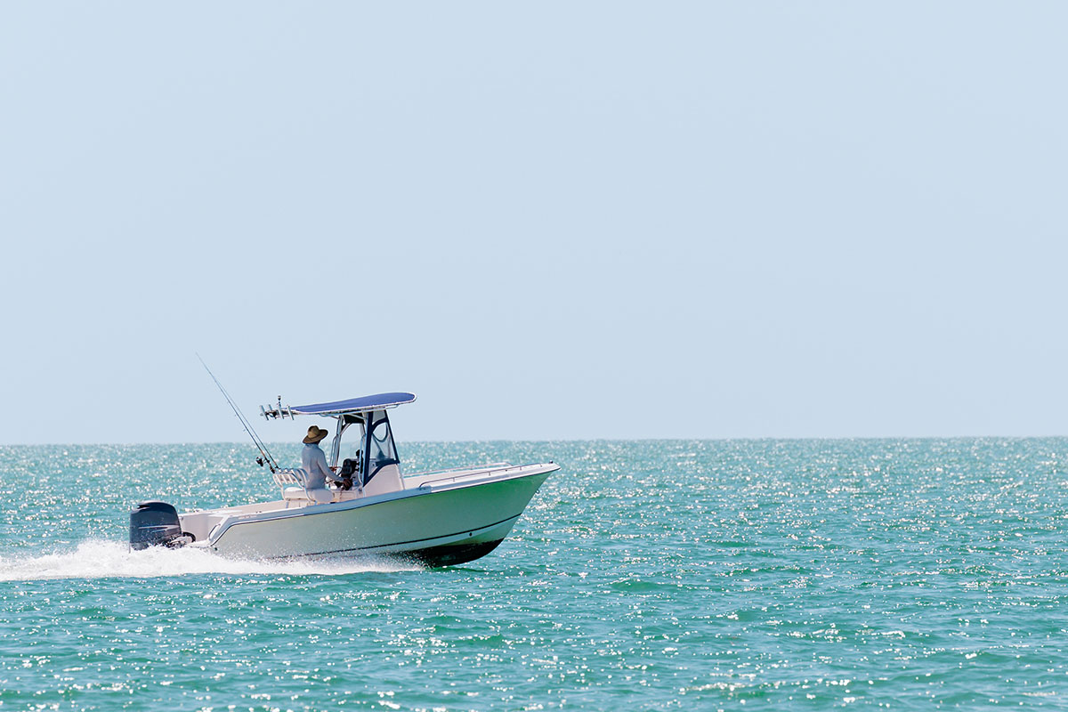 fishing boat on coast